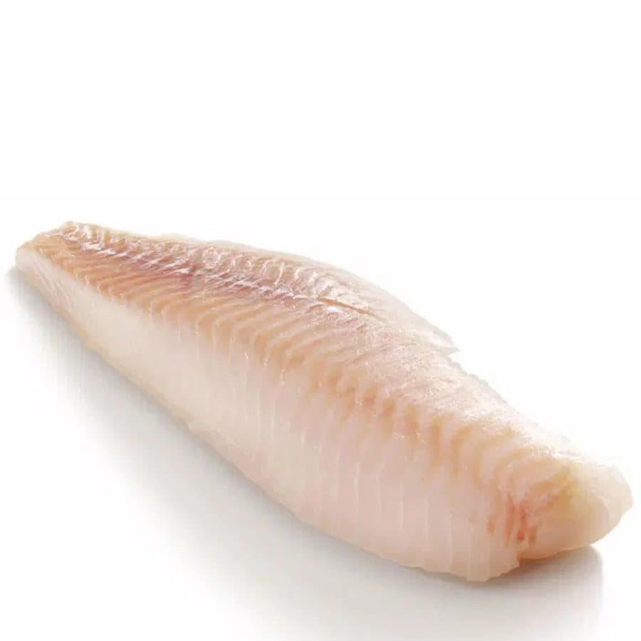 Raw white fish fillet